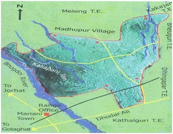 হলংপাৰ গিবন বন্যপ্ৰানী অভয়াৰণ্য