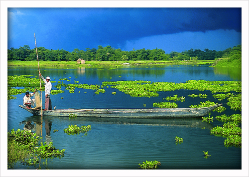 Majuli 