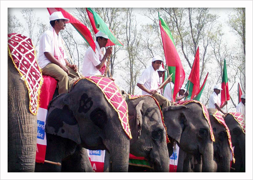 Kaziranga Elephant Festival